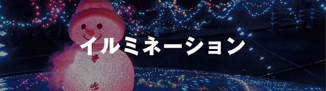 イルミネーション